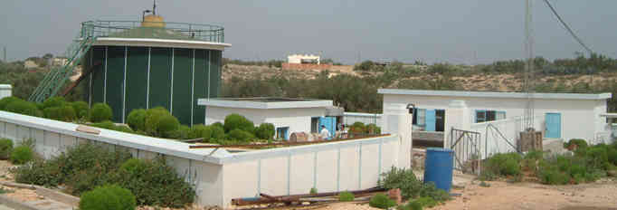 非洲迄今最为成功的沼气工程：突尼斯养鸡场沼气发电示范工程